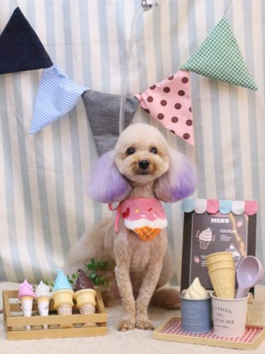 20250527ココちゃん